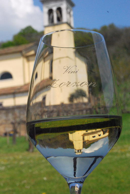 Agriturismo Domus Rustica Cormons Exterior photo